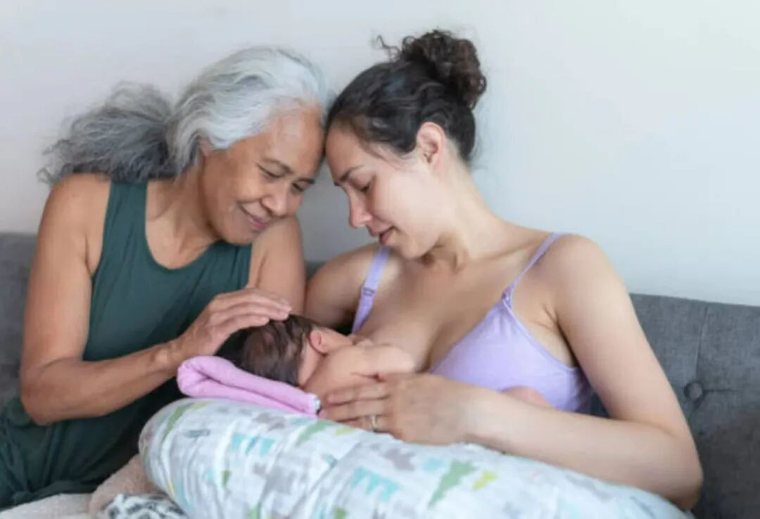 遗传激素水平异常与母乳分泌_遗传性乳腺发育不良影响泌乳量_泌乳期产奶量