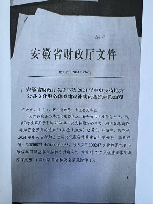 安徽省财政社会保障资金分配办法_安徽省财政社会保障项目资金分配方式_社会保障资金是什么
