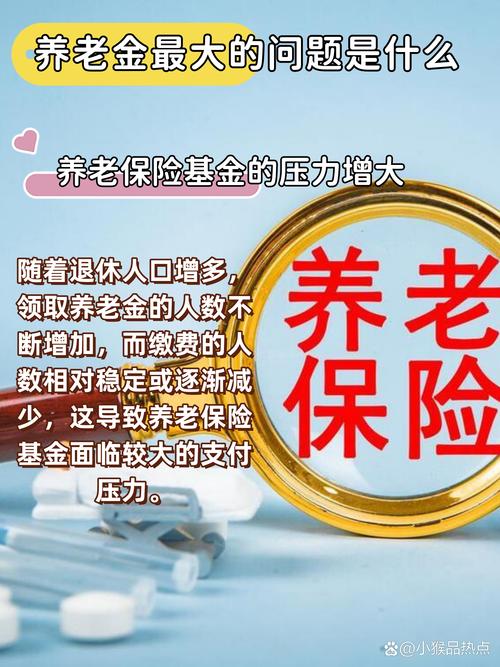 养老金体系旁氏骗局_人口老龄化养老金危机_庞氏骗局理财