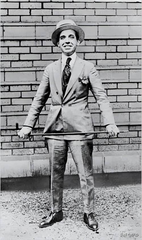 庞氏骗局定义_庞氏骗局理财_庞氏骗局案例分析