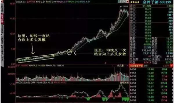 均线粘合向上发散形态_通达信均线上穿公式_均线粘合向上发散买入条件