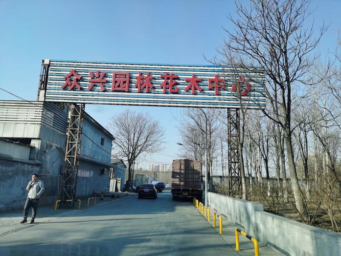 农村创业项目_热门开店低金额创业_花卉苗木种植