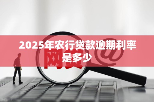 2025年农行贷款逾期利率是多少