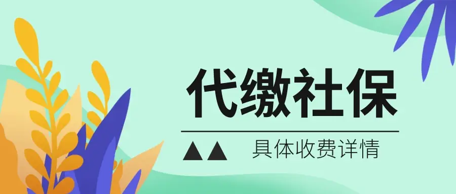 服务费区间平台差异_什么是社保代理_社保代缴费用构成