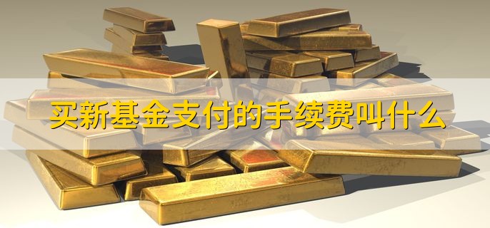 基金申购与认购费率咋算？上涨加仓、补仓有啥讲究？