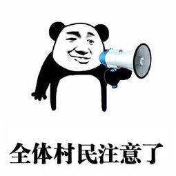 什么是社保代理_灵活就业社保_社保代缴