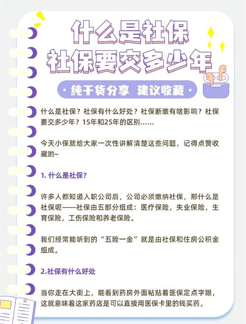 基本养老保险缴费_社保知识_什么是社保代理