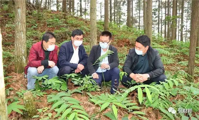 湖南中药材种植现状_中药材价格上涨原因_未来中药材生意好做吗