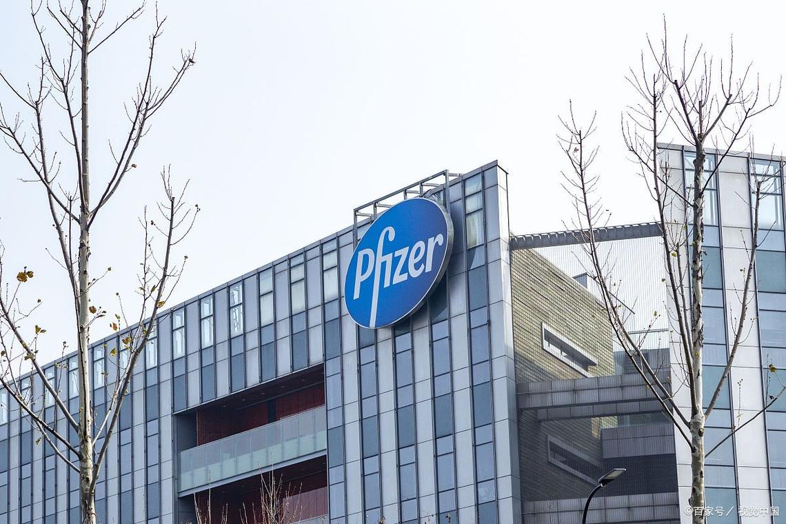 辉瑞普强全球总部 上海 静安区_大连辉瑞制药招聘