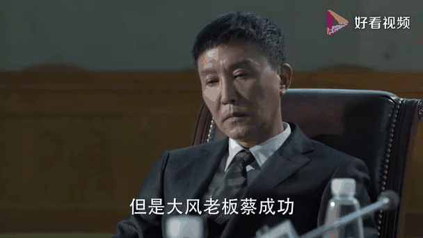 大风集团蔡成功的过桥贷案例，及三明市梅列检察院办案警示