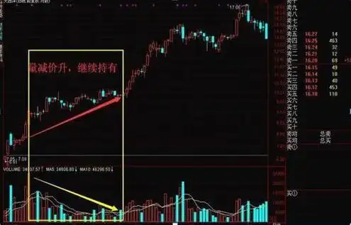 股票投资风险控制原则_成交量选股技巧_短线是银之1：短线高手的操盘技巧
