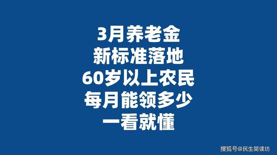 中国式养老服务体系_养老金需要满足的条件有_基本养老服务清单制度