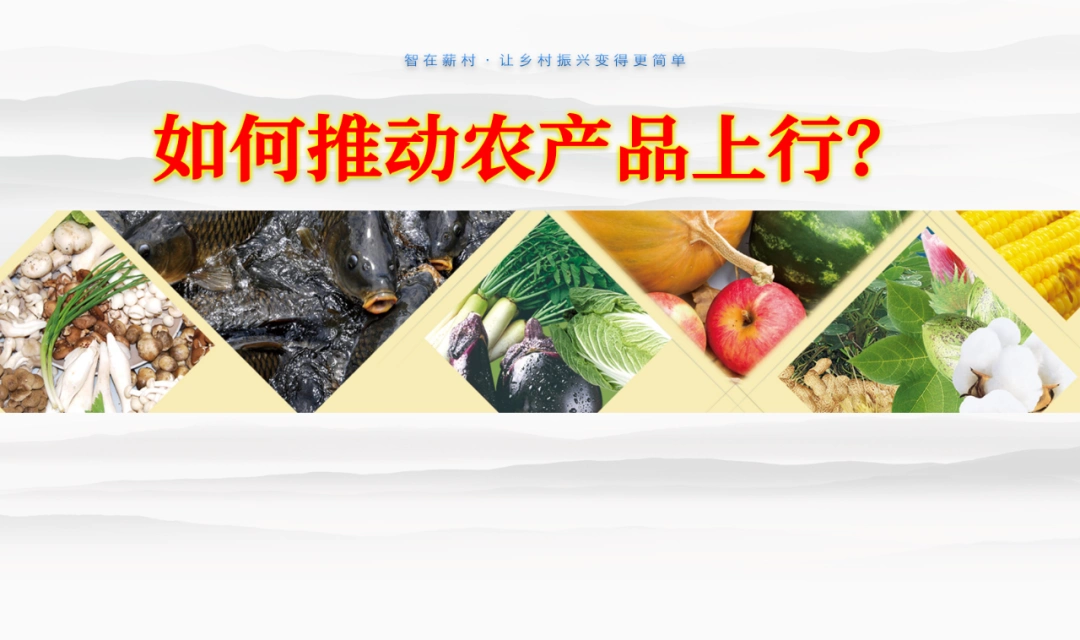 农产品上行遇难题：质量难控，物流跟不上