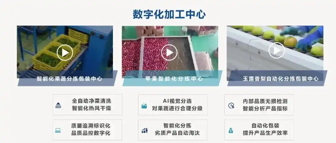 农产品上行解决方案_农产品上行遇到的问题_农产品上行面临的挑战