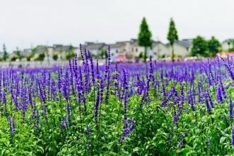 小生意创业项目_投资未来小本致富代理_跑江湖小生意赚钱