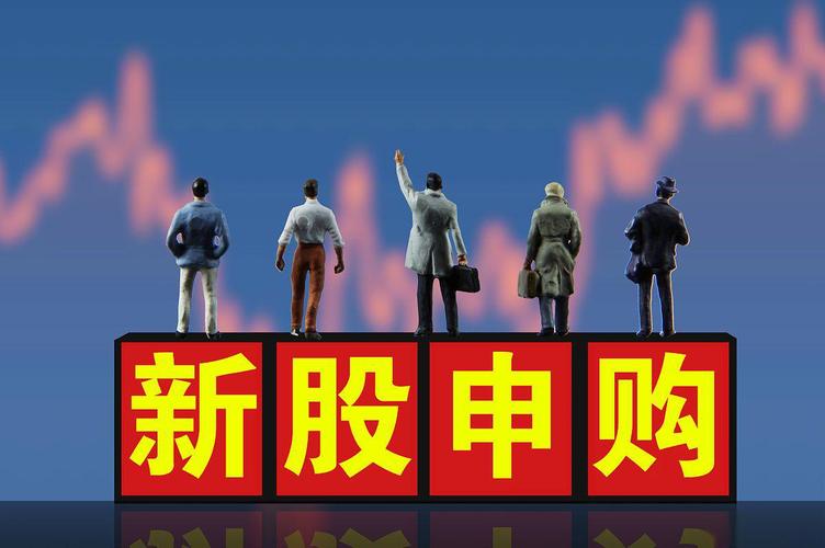 打新股票配资联系方式，网下申购新规解读