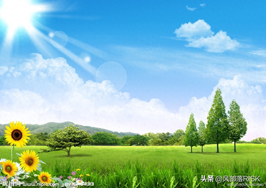 期货黄金分割率实战运用：判断价格回调支撑与反弹压力