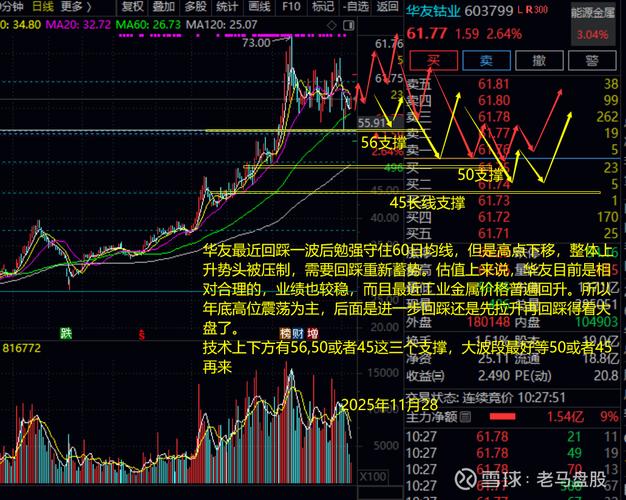 最新市值约770亿元大盘股所属概念板块筹码分布分析_近期对洛阳钼业股票的分析_有色金属小金属板块钼钨钴及铜矿开采与加工行业趋势