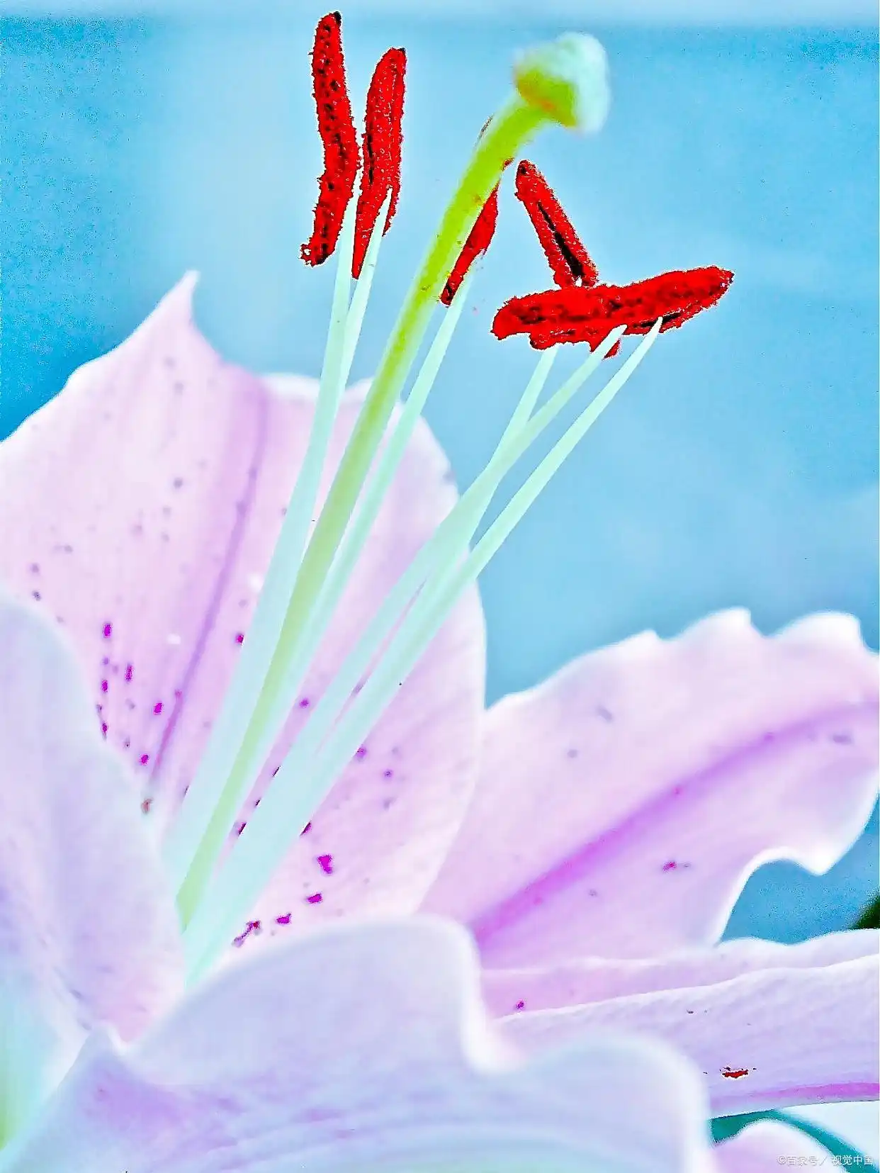 术捷盈库平台推荐_网上赚钱方法_网络社会做生意方法