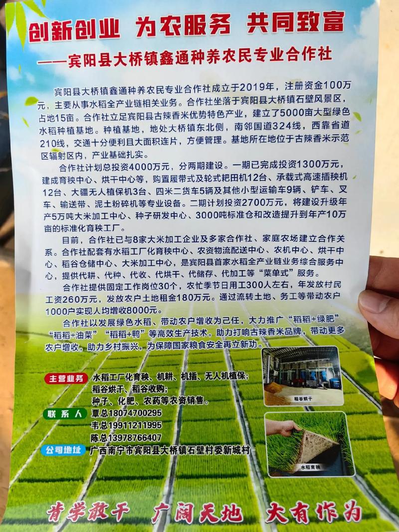 合作社带动作用_山东省菏泽市集体经济发展模式_郓城县村党组织领办合作社提质增效