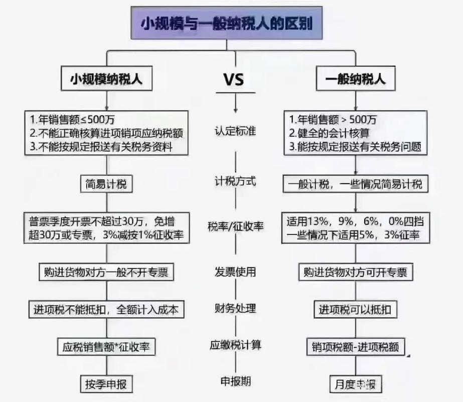 公司选小规模还是一般纳税人 成华本地财税团队帮你避坑选对