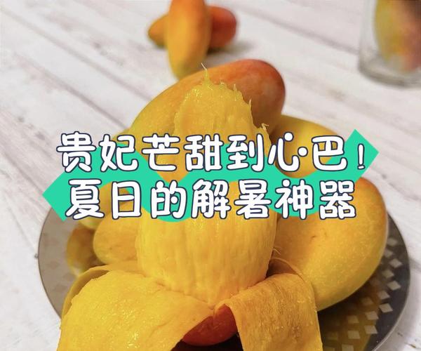 中街冰点城老中街冰棍儿_中街大果雪糕_沈阳中街大果
