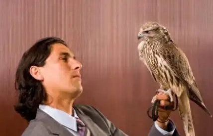 犹太人金钱智慧_犹太人的理财智慧_犹太人重视金钱的原因