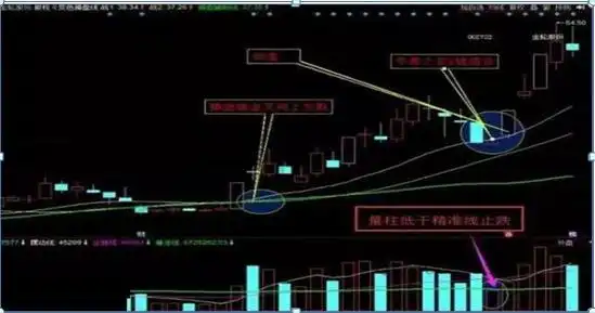 错误选股方式_下跌放量公式_避免亏损的投资习惯